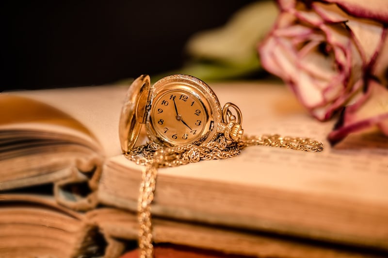 Time Traveler